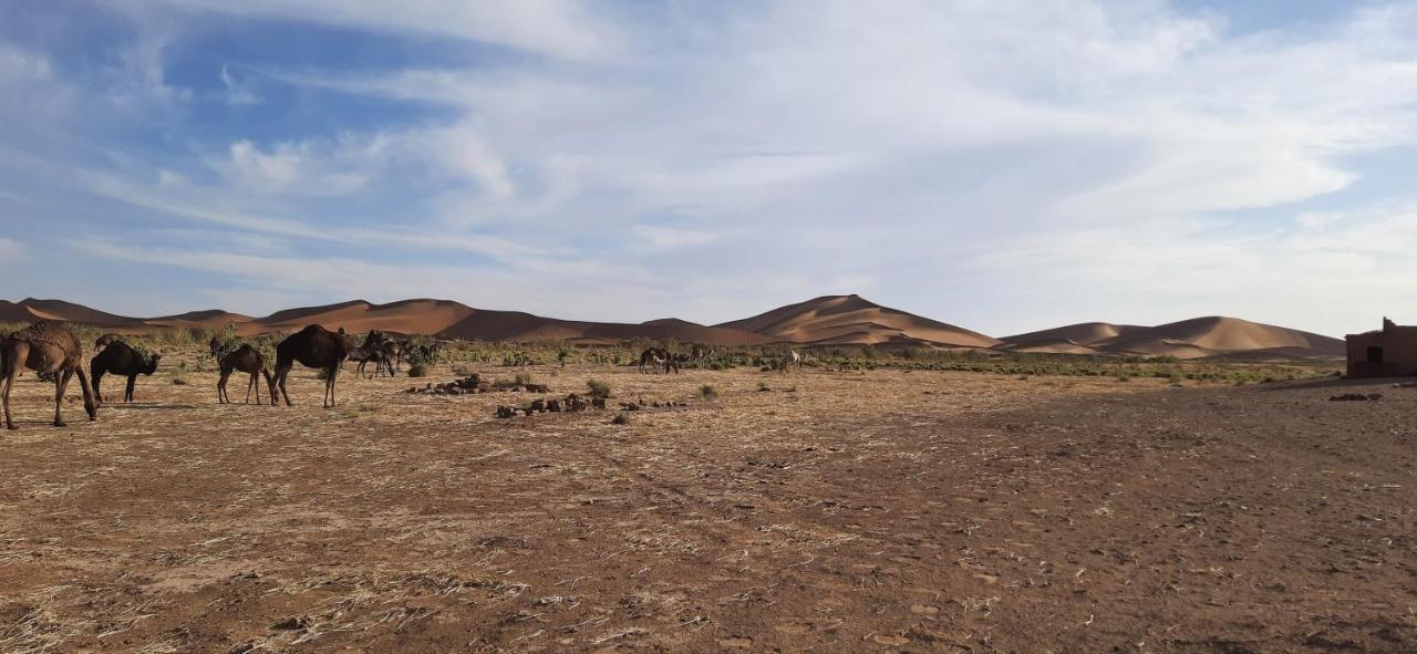 فندق Erg Chegaga Camp Excursions محاميد الغزلان المظهر الخارجي الصورة