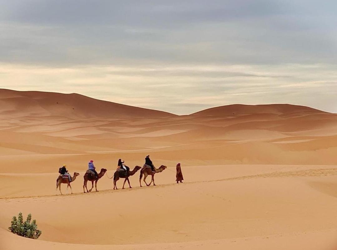 فندق Erg Chegaga Camp Excursions محاميد الغزلان المظهر الخارجي الصورة